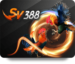 B52 Club Thể Thao VIP - Nơi hội tụ đam mê thể thao